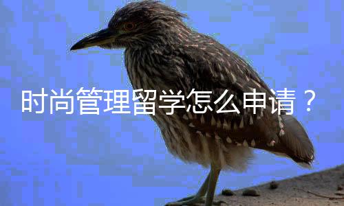 时尚管理留学怎么申请？