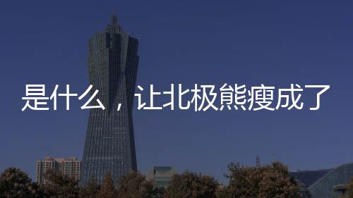 是什么,让北极熊瘦成了狗?