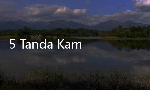 5 Tanda Kamu Seorang Pluviophile, Damai karena Hujan